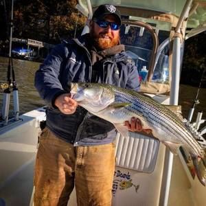 Meet your Posher, Joe